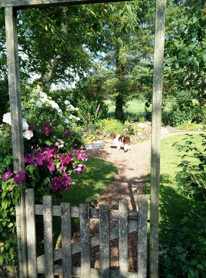 B&B Stateheide Noordbergum Zewnętrze zdjęcie