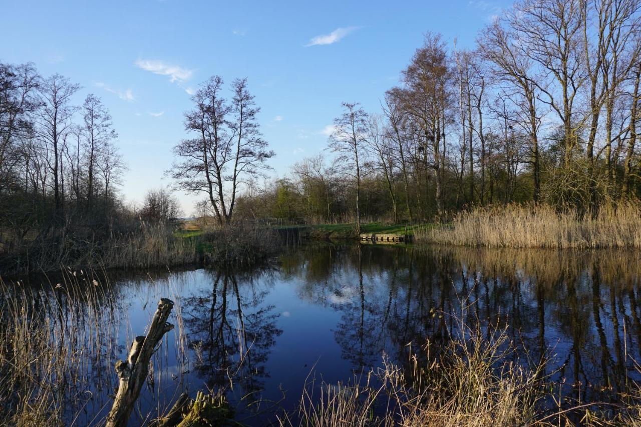 B&B Stateheide Noordbergum Zewnętrze zdjęcie